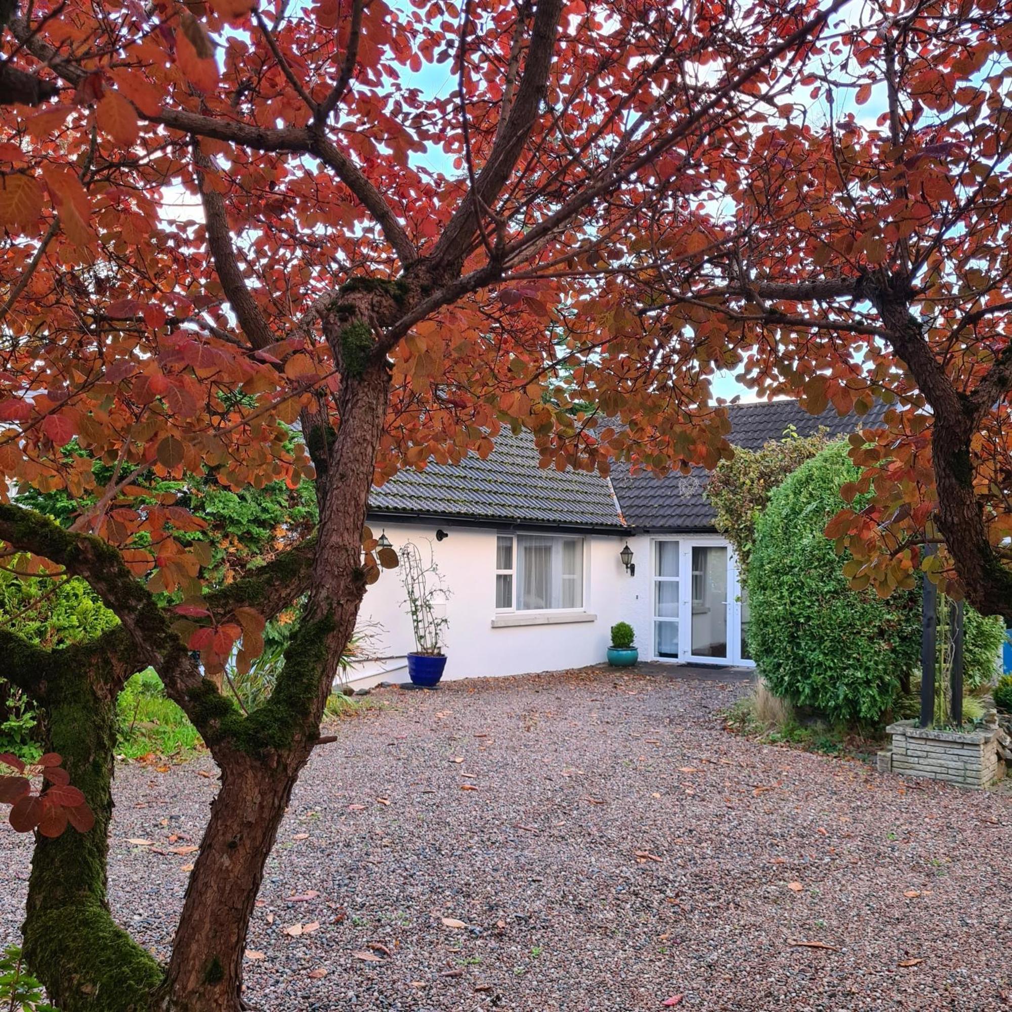 Nara Seaside Retreat Cultra Exterior foto